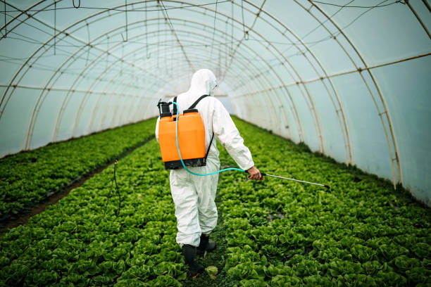 Pest Control for Restaurants in Kenilworth, NJ