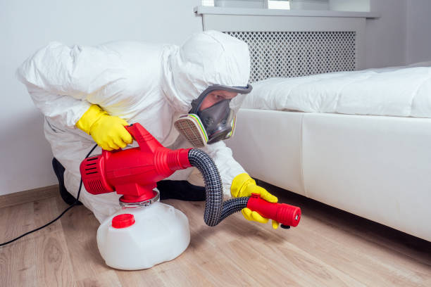 Best Termite Control Services  in Kenilworth, NJ