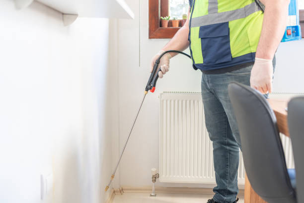 Best Ant Control Services  in Kenilworth, NJ