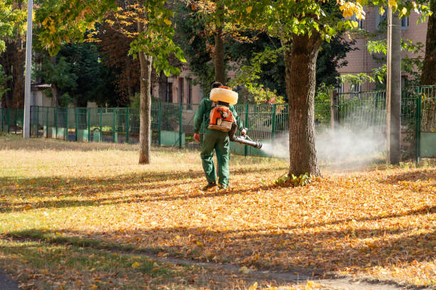Best Pest Control Near Me  in Kenilworth, NJ